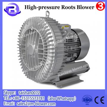 roots blower performance curve