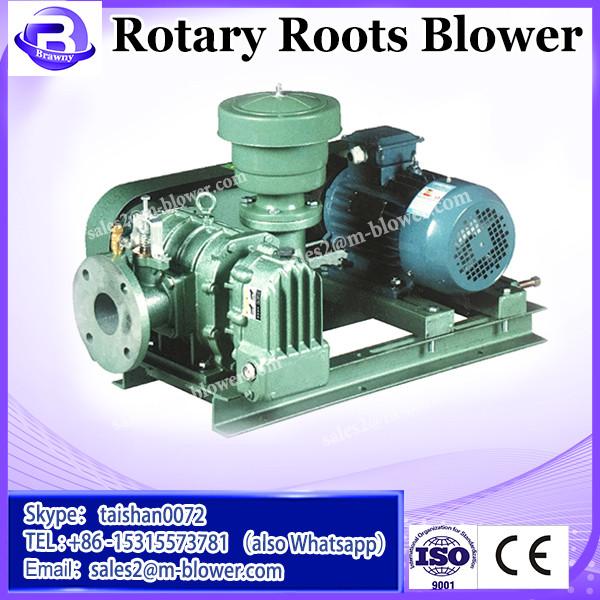 Customerized positive displacement type three-lobed roots blower #3 image